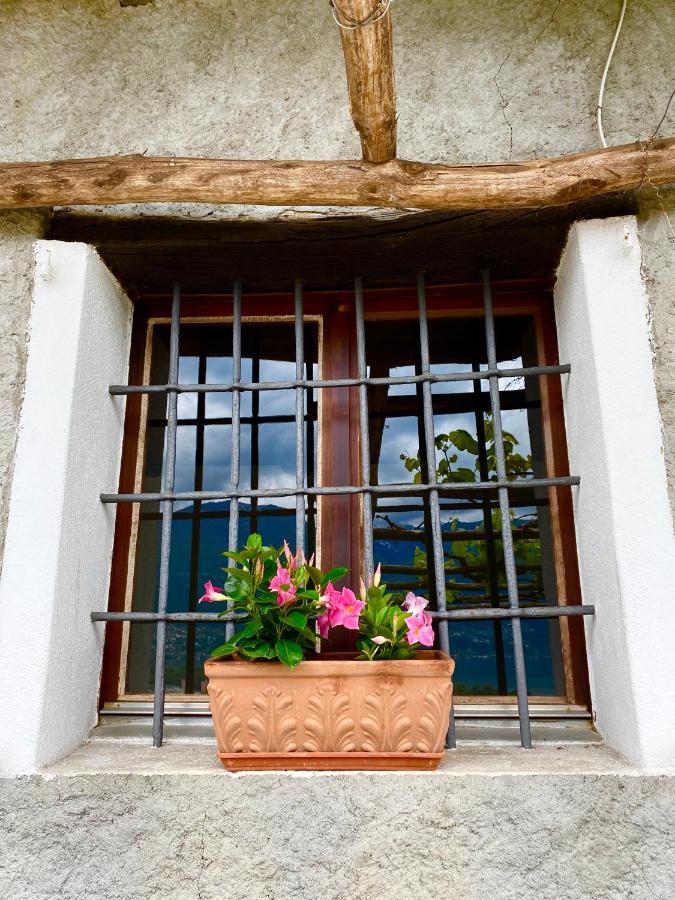 Casa Edi